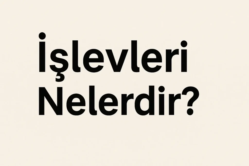 bilgisayarın işlevleri